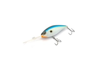 SEXY-SHAD